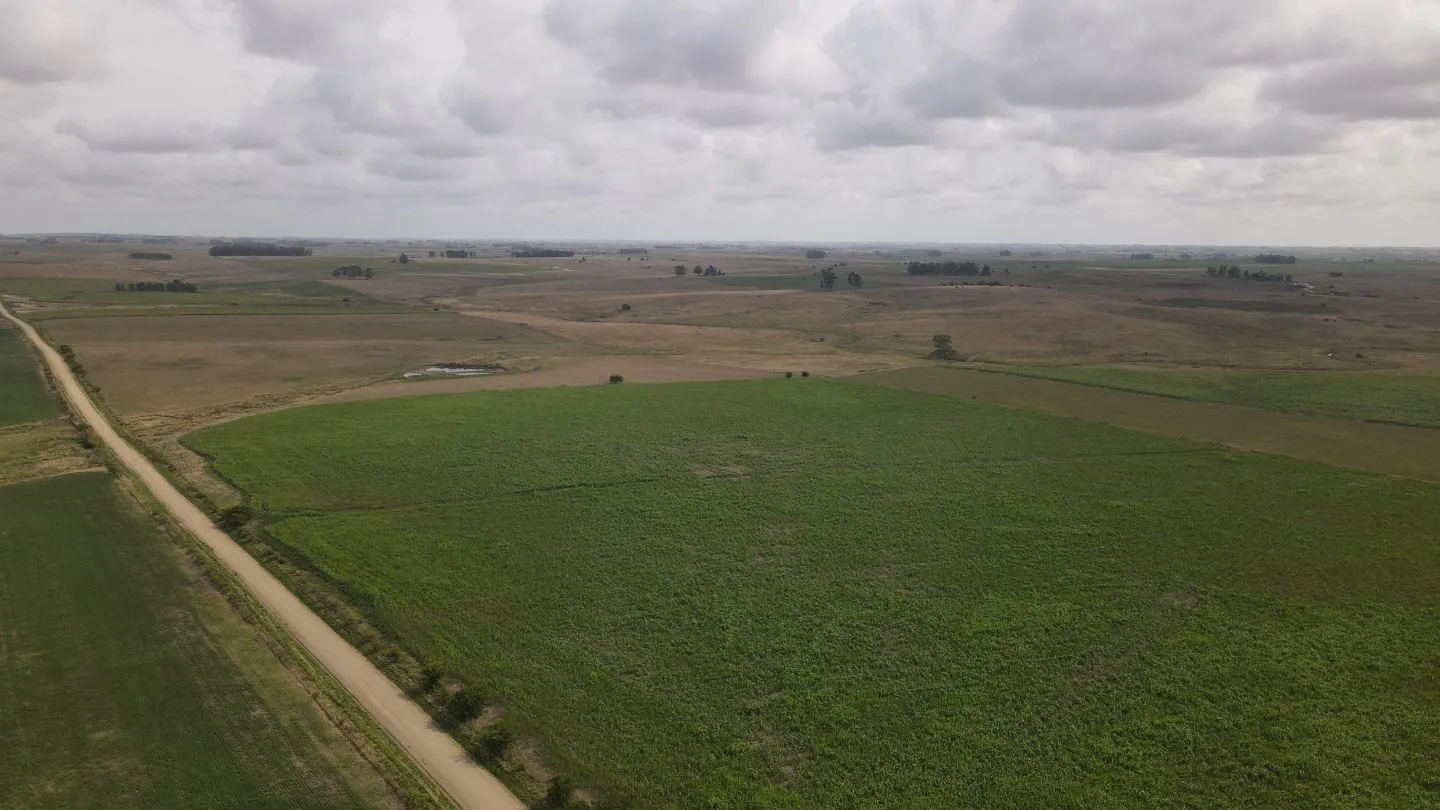 Campo en venta de 150 ha Agrícola Ganadero en Florida — foto 3