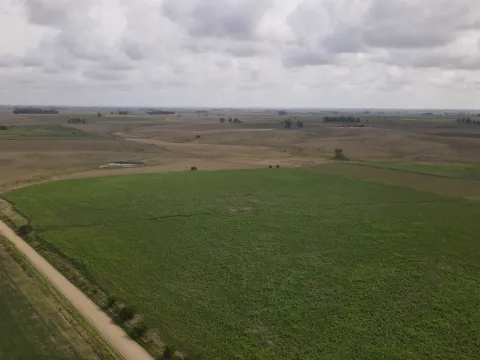Campo en venta de 150 ha Agrícola Ganadero en Florida — foto 3