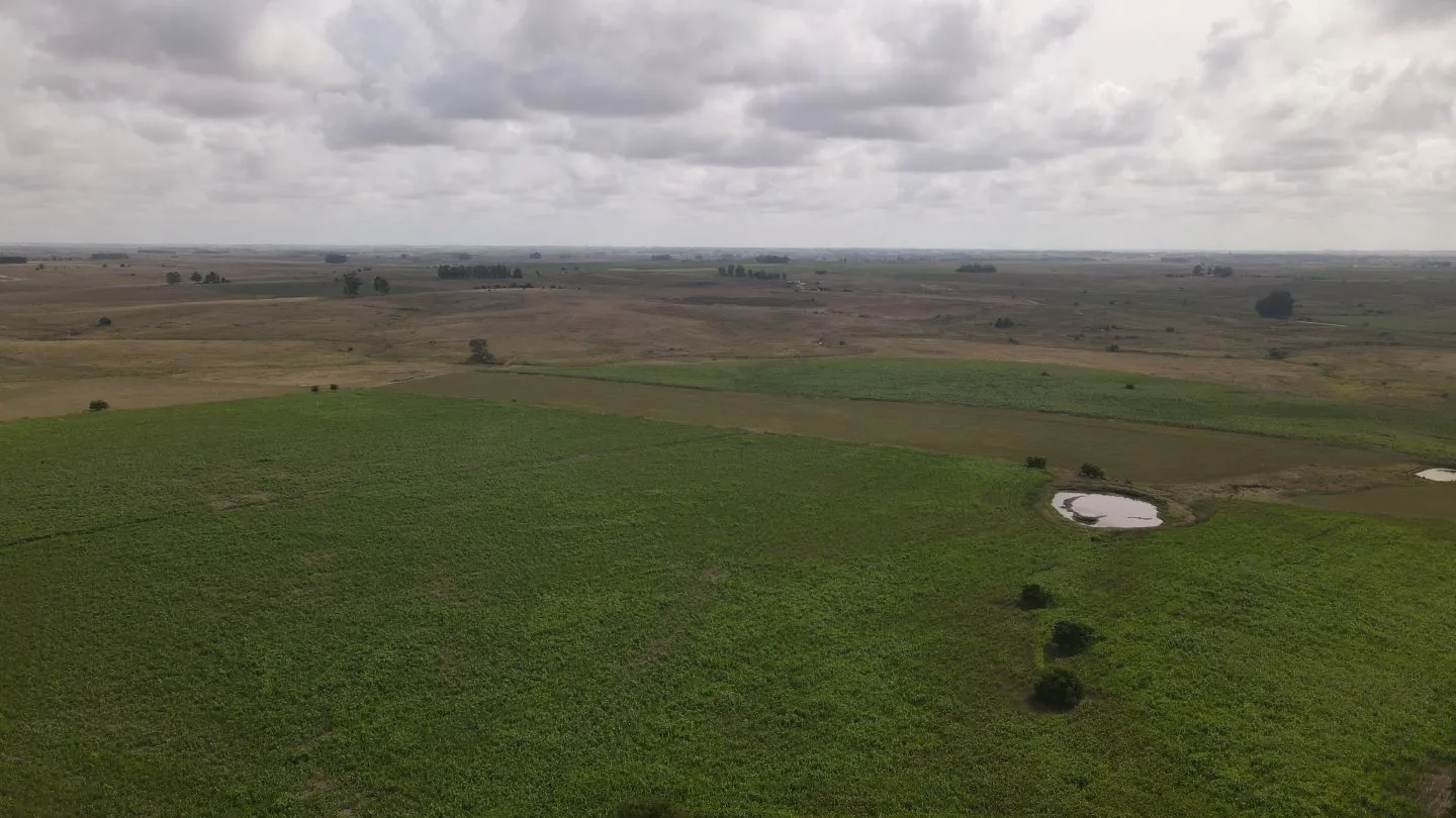 Campo en venta de 150 ha Agrícola Ganadero en Florida — foto 4