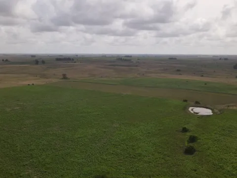 Campo en venta de 150 ha Agrícola Ganadero en Florida — foto 4