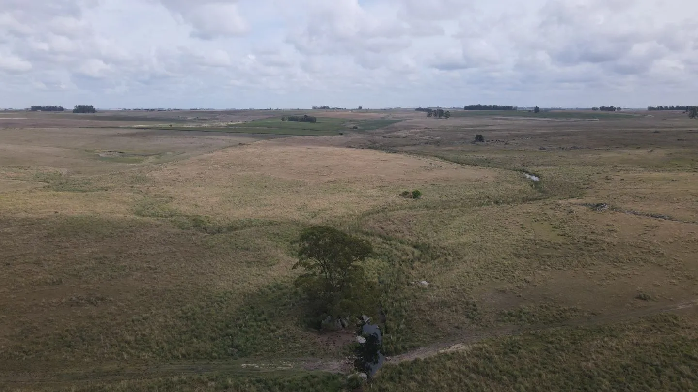 Campo en venta de 150 ha Agrícola Ganadero en Florida — foto 11