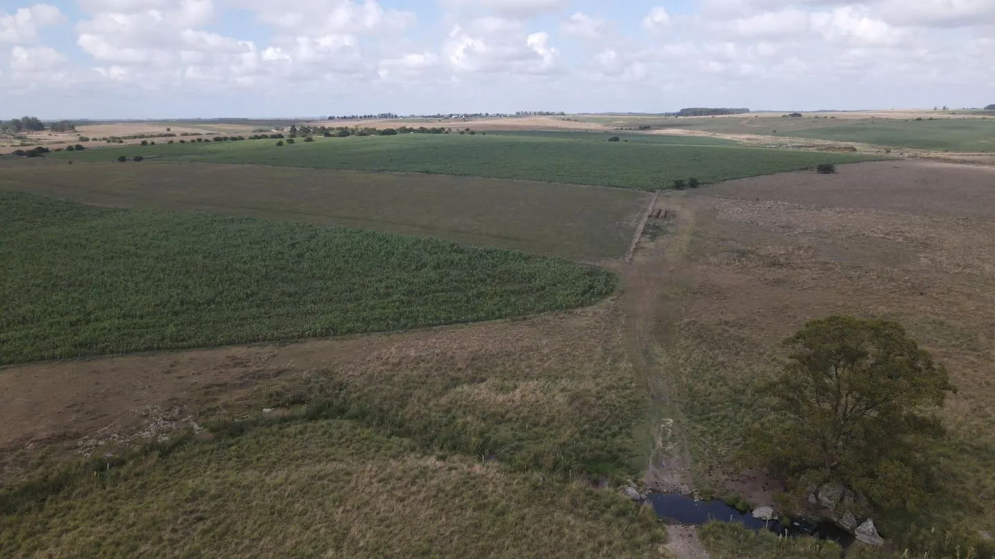 Campo en venta de 150 ha Agrícola Ganadero en Florida — foto 12