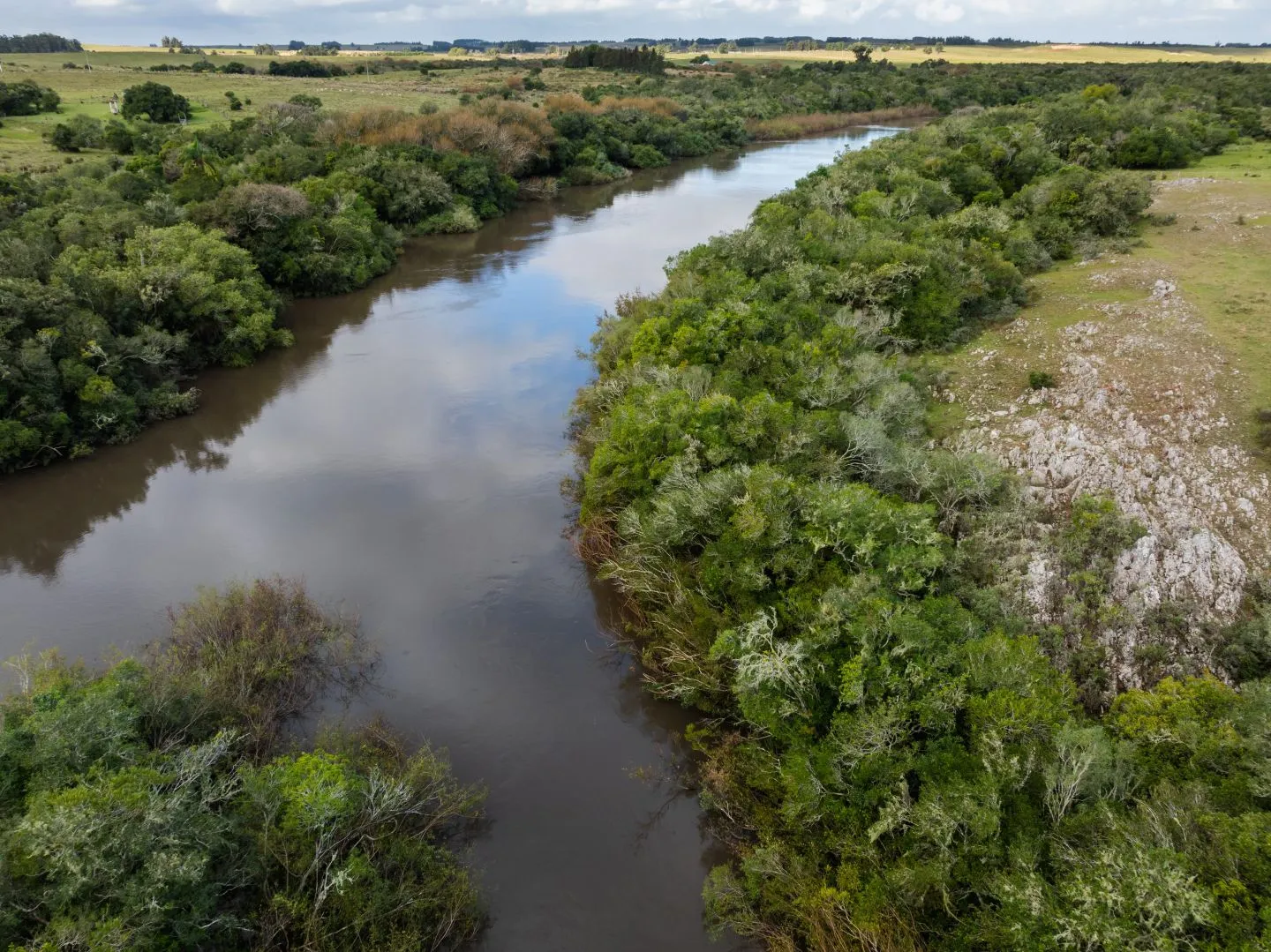 Venta de Chacras de 3has desarrollo La Ribera, J. Ignacio — foto 6