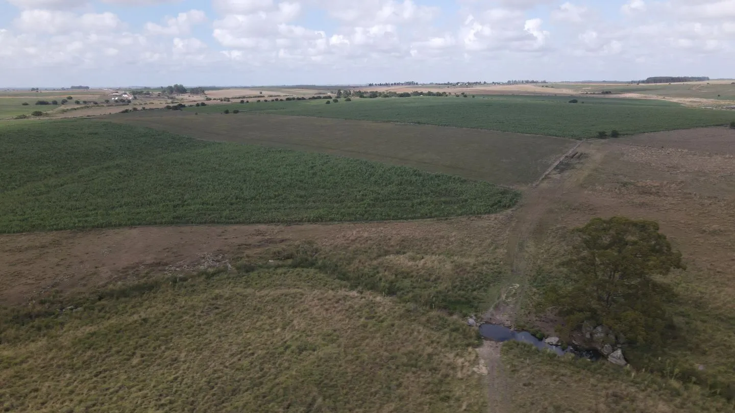 Campo en venta de 150 ha Agrícola Ganadero en Florida — foto 13