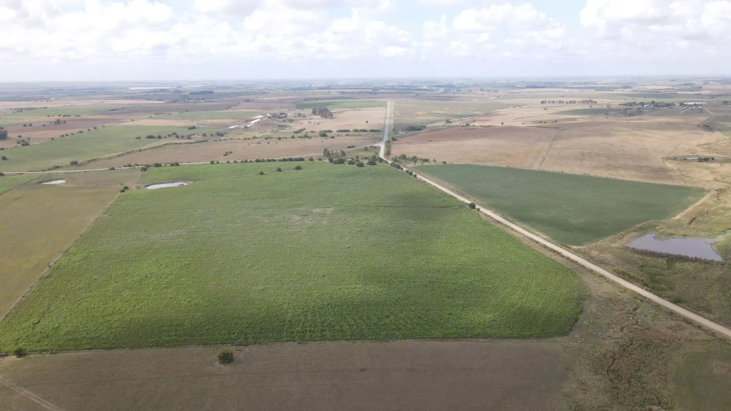 Campo en venta de 150 ha Agrícola Ganadero en Florida — foto 15