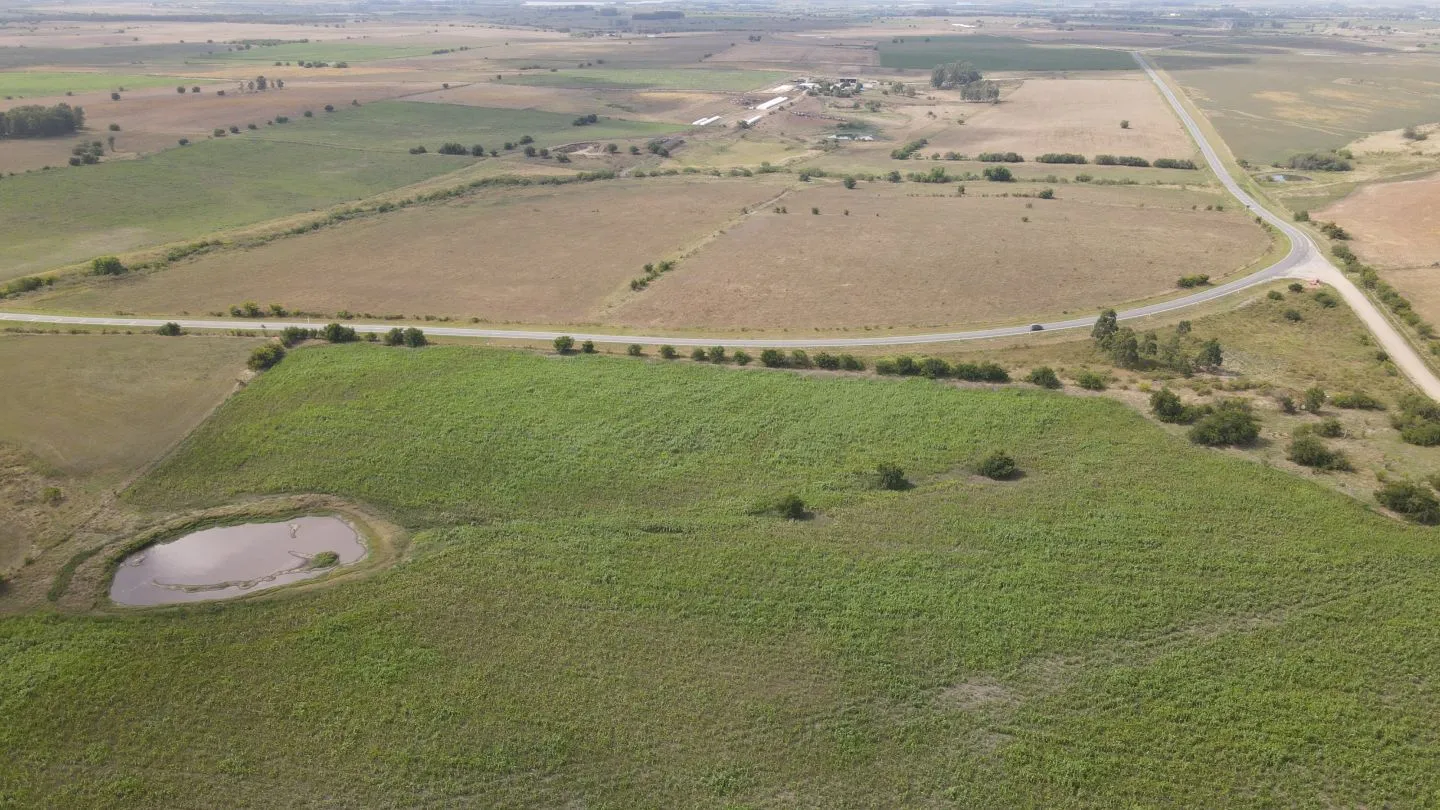 Campo en venta de 150 ha Agrícola Ganadero en Florida — foto 16