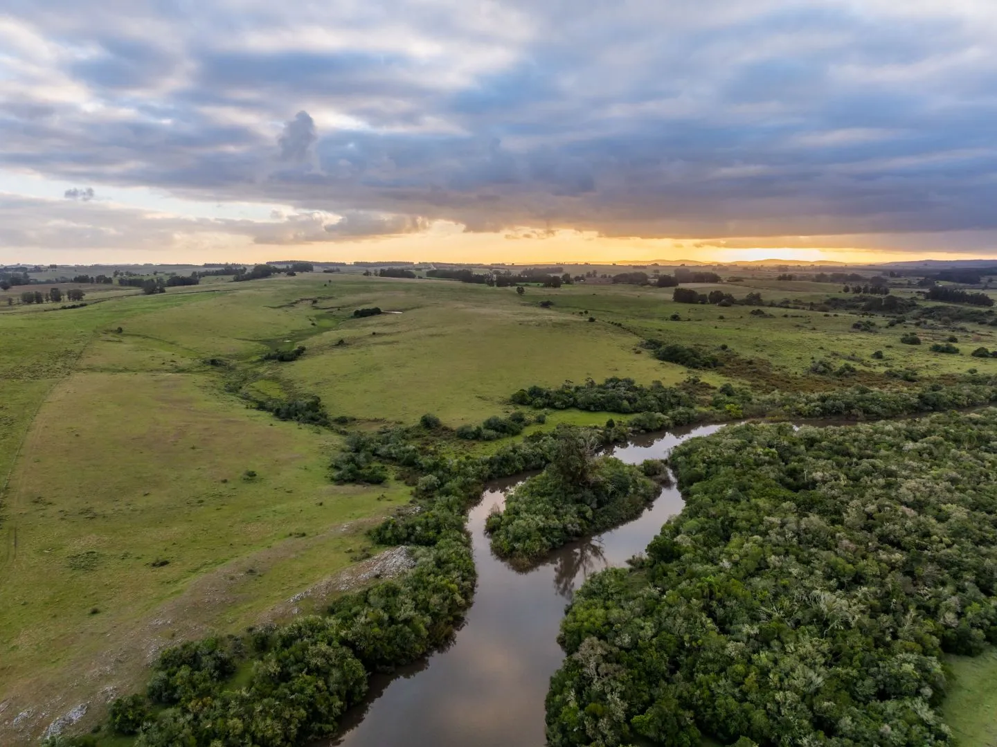 Venta de Chacras de 3has desarrollo La Ribera, J. Ignacio — foto 10