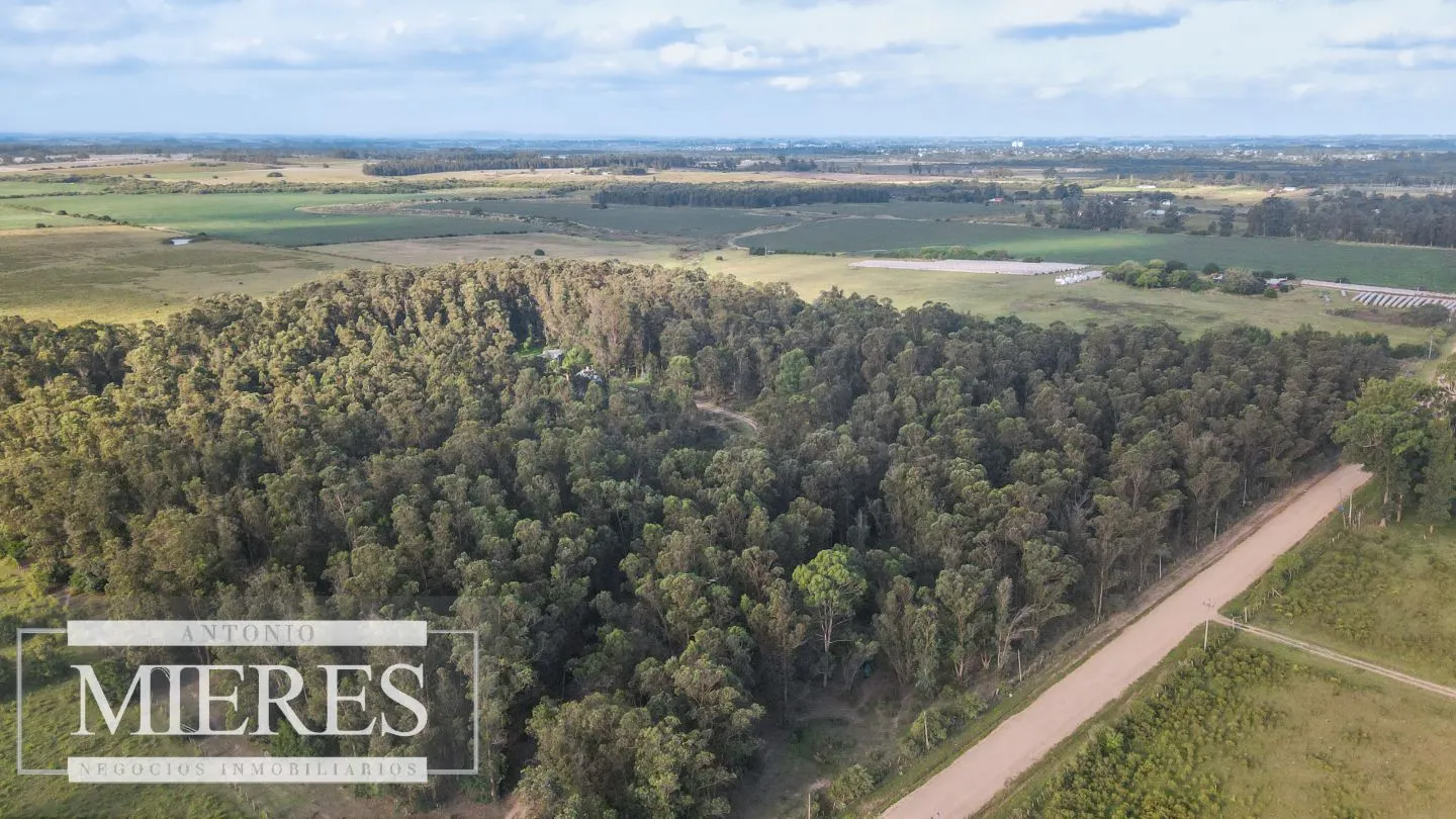 Chacra en venta 5 ha con casa y monte zona Lapataia — foto 2