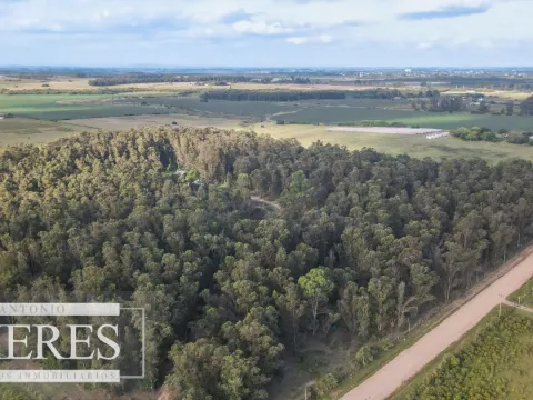 Chacra en venta 5 ha con casa y monte zona Lapataia — foto 2