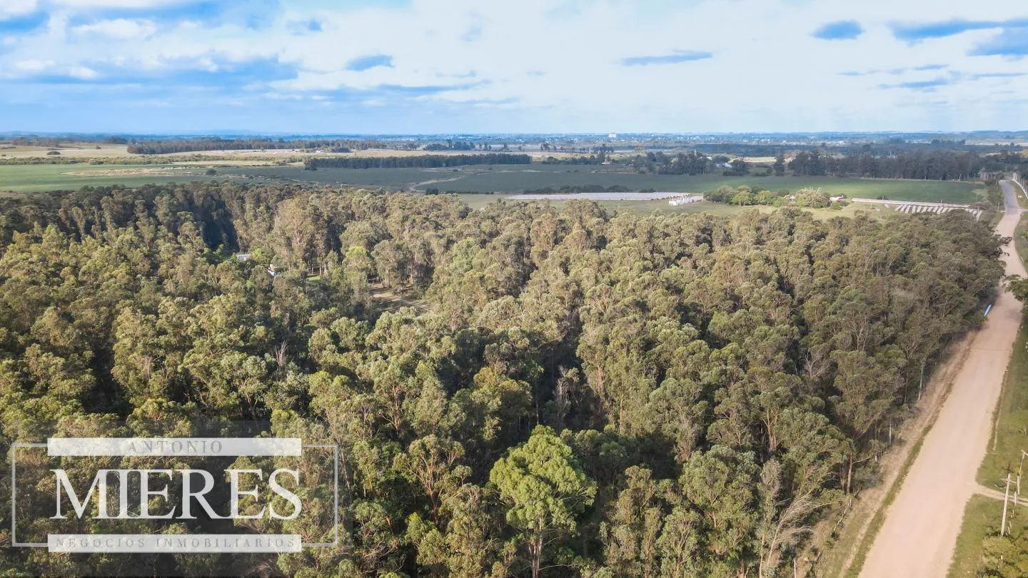 Chacra en venta 5 ha con casa y monte zona Lapataia — foto 11
