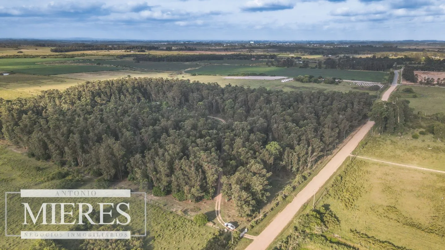 Chacra en venta 5 ha con casa y monte zona Lapataia — foto 12