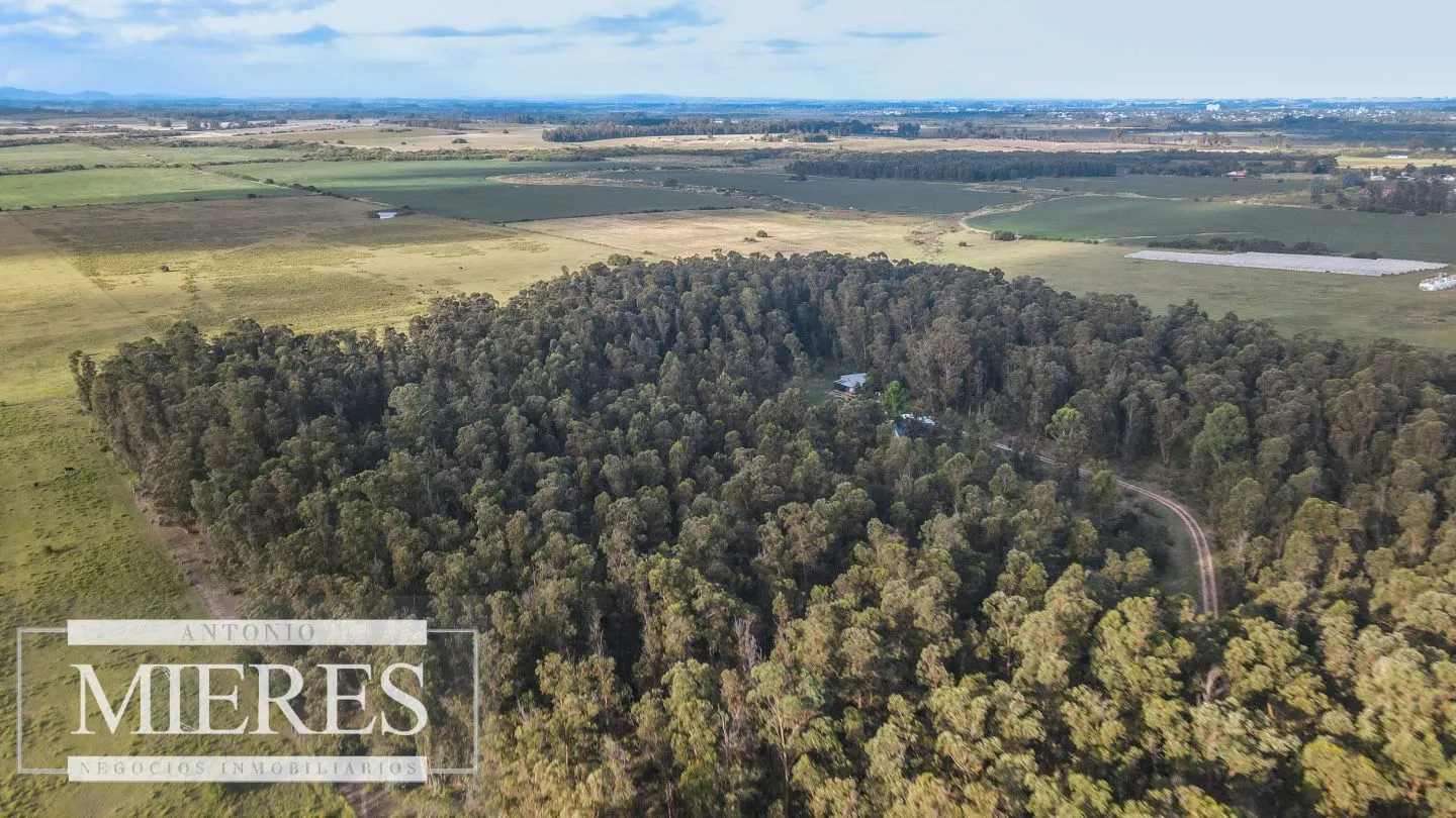 Chacra en venta 5 ha con casa y monte zona Lapataia — foto 13
