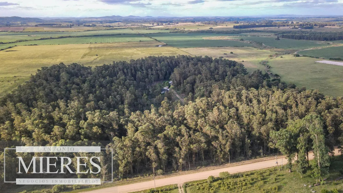 Chacra en venta 5 ha con casa y monte zona Lapataia — foto 14