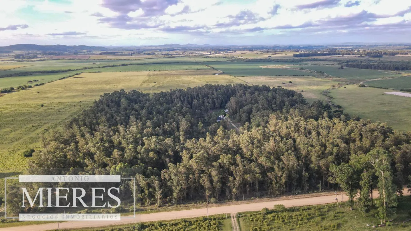 Chacra en venta 5 ha con casa y monte zona Lapataia — foto 15
