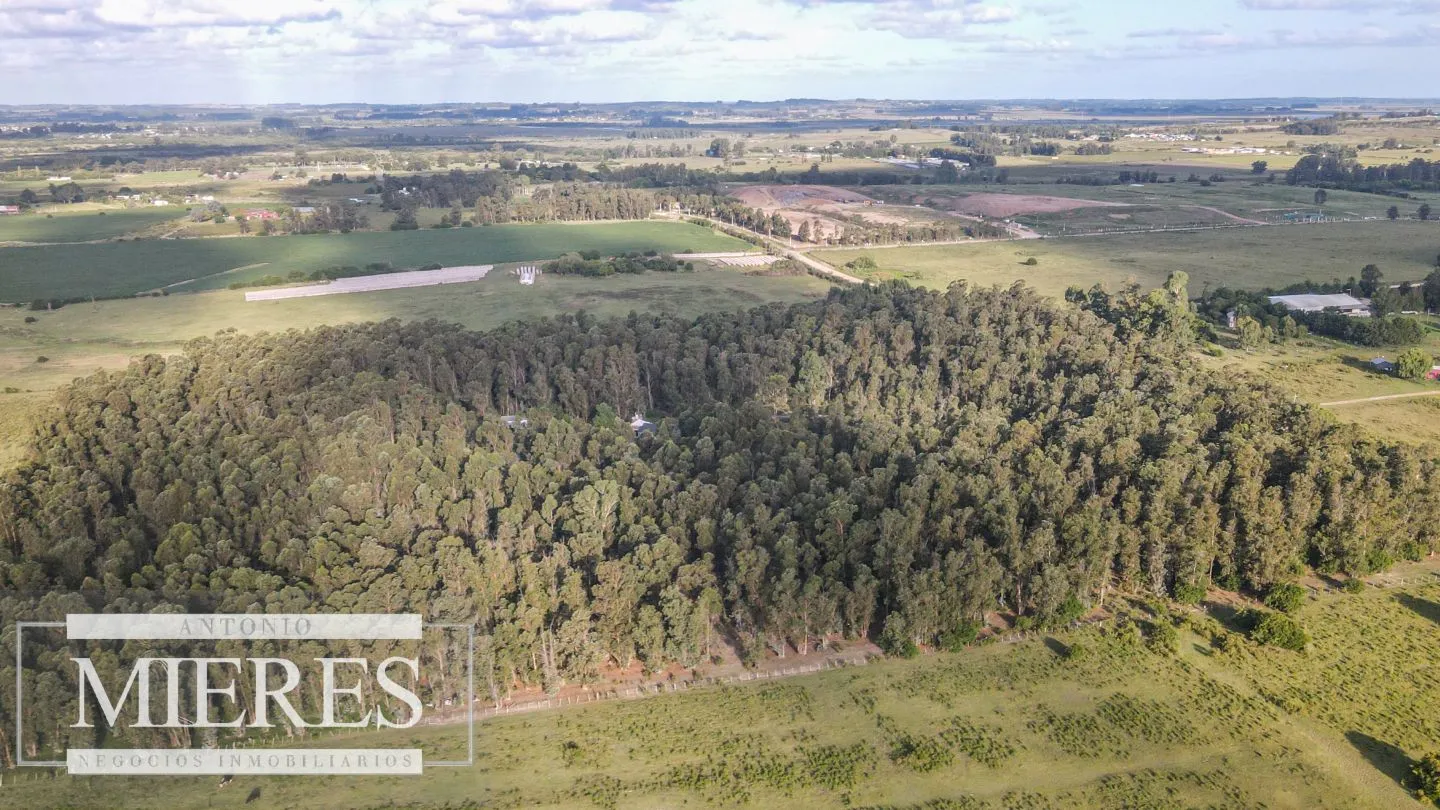 Chacra en venta 5 ha con casa y monte zona Lapataia — foto 16