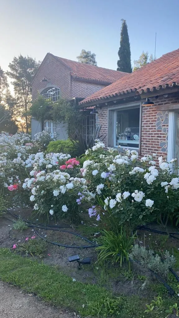 Fabulosa Chacra Maritima en Venta — foto 19