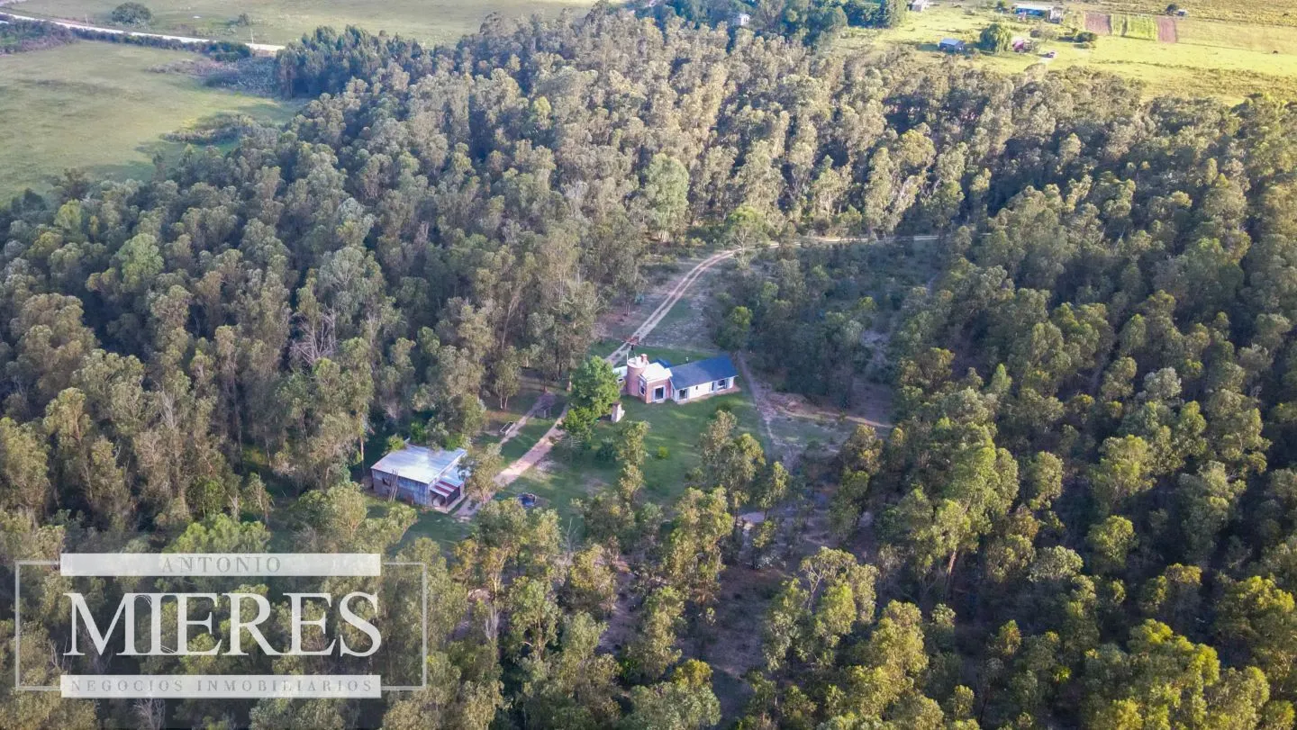 Chacra en venta 5 ha con casa y monte zona Lapataia — foto 18