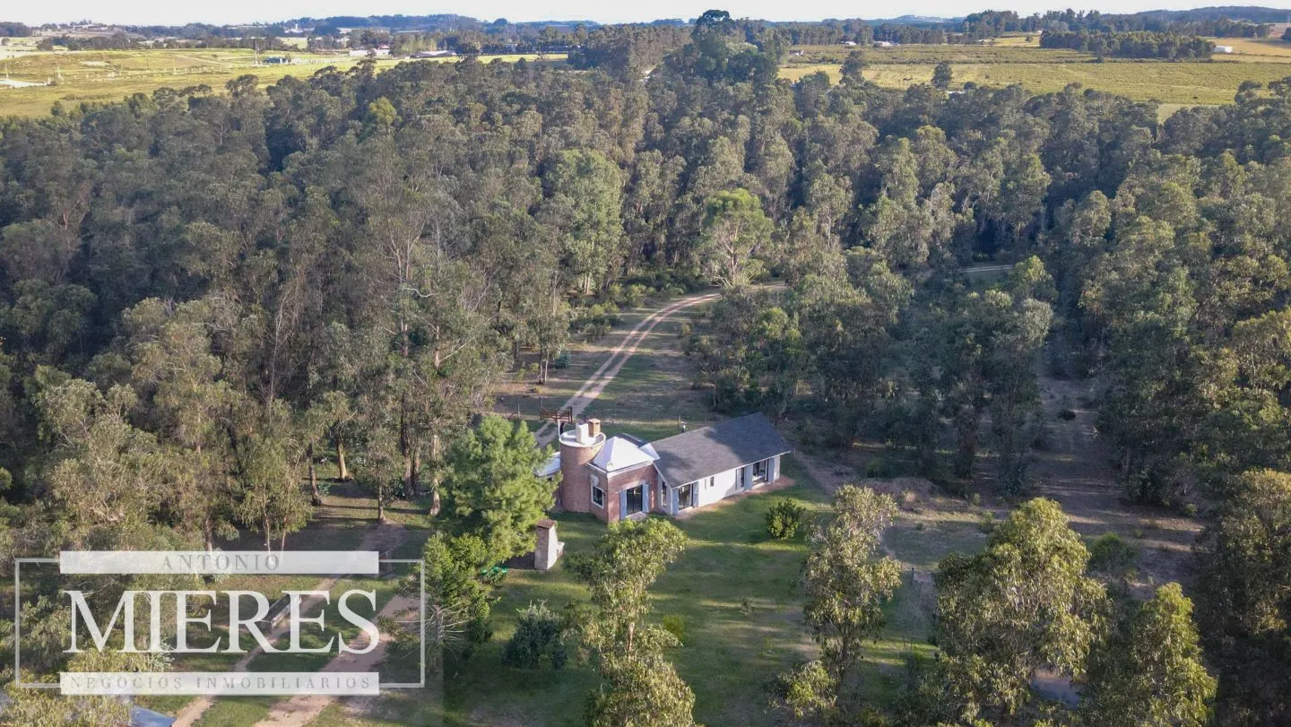 Chacra en venta 5 ha con casa y monte zona Lapataia — foto 19
