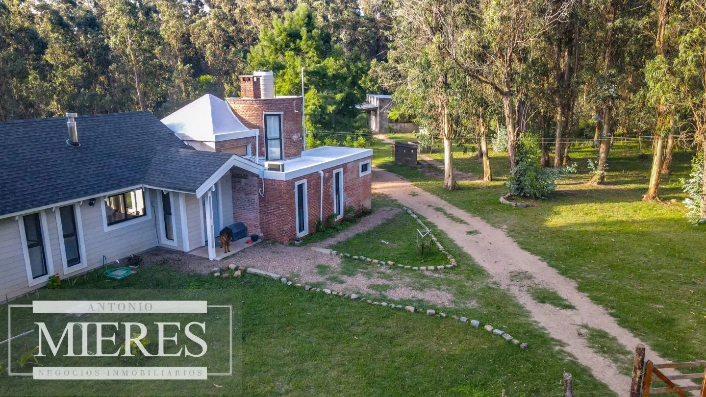 Chacra en venta 5 ha con casa y monte zona Lapataia — foto 21
