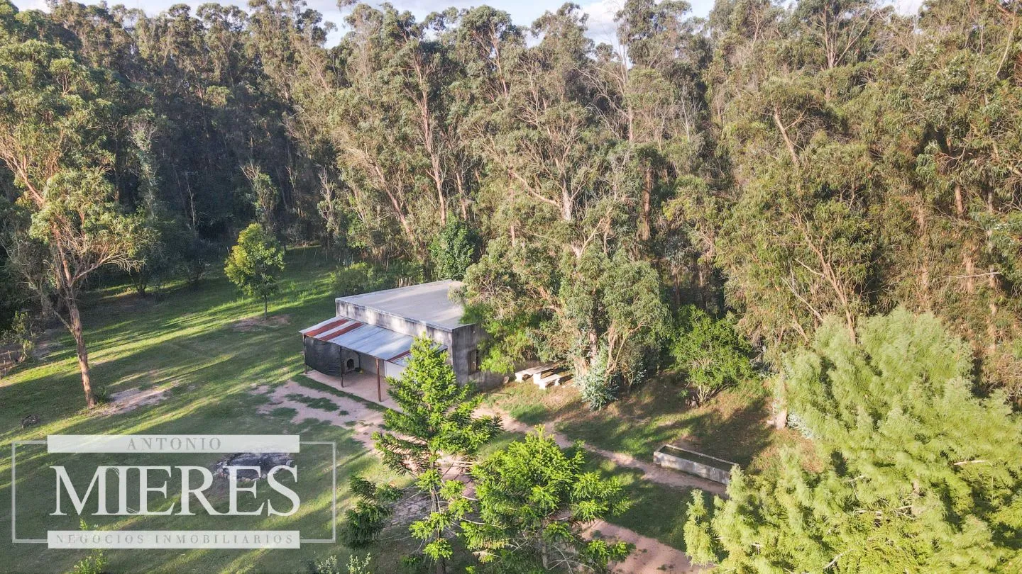 Chacra en venta 5 ha con casa y monte zona Lapataia — foto 22