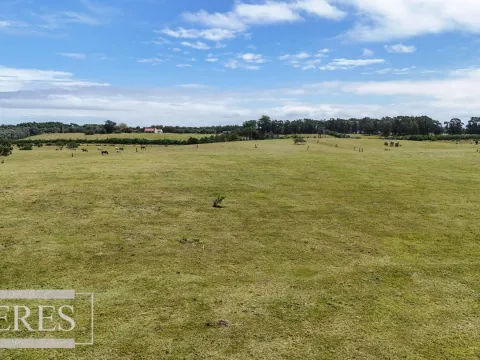 CHACRA EN VENTA, 10 HAS EN JOSE IGNACIO VISTA MAR — foto 5