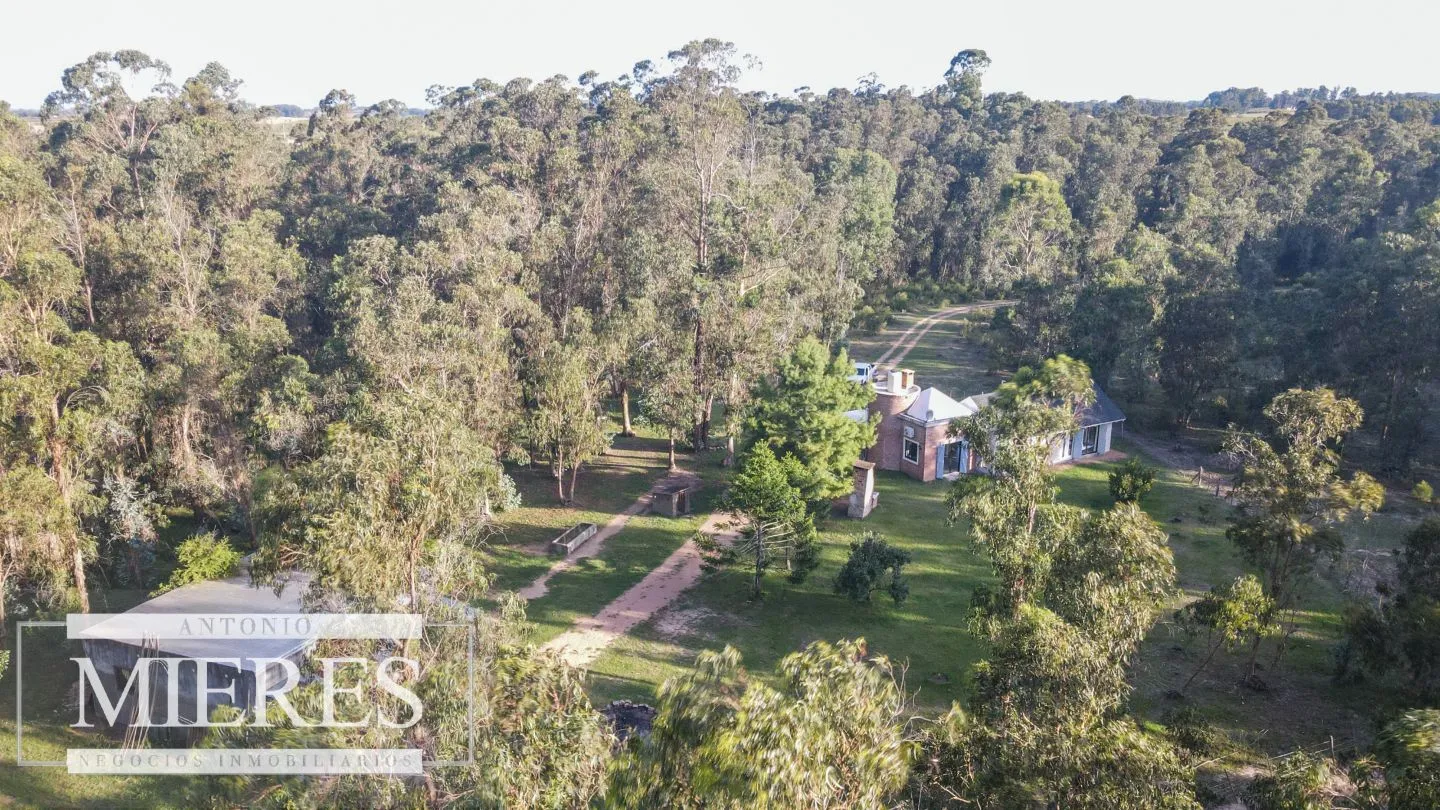 Chacra en venta 5 ha con casa y monte zona Lapataia — foto 23