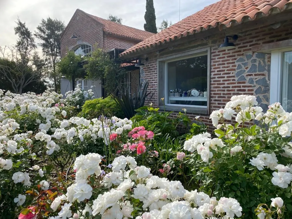 Fabulosa Chacra Maritima en Venta — foto 26