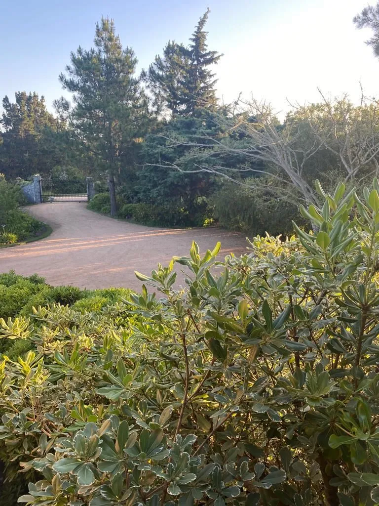 Fabulosa Chacra Maritima en Venta — foto 28