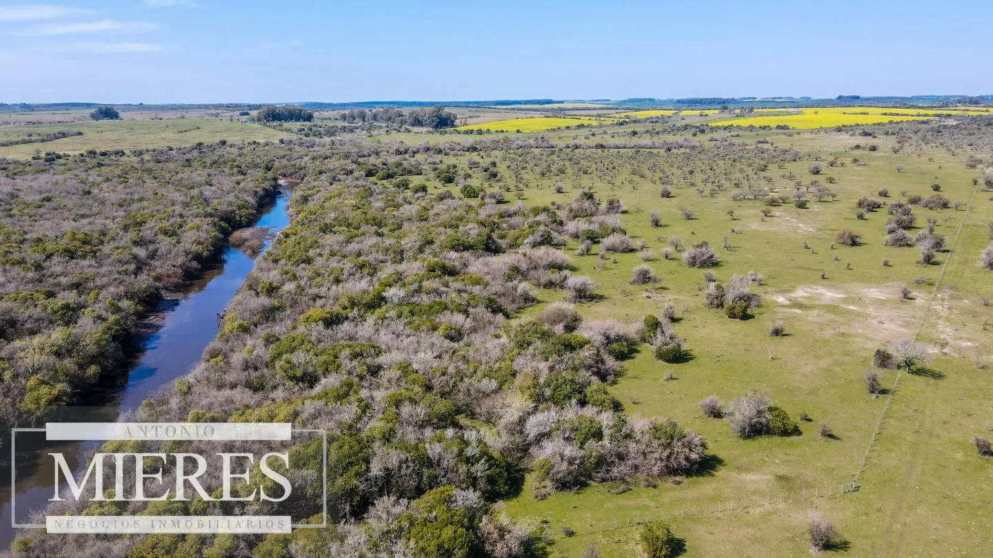 Campo de 180ha en Paysandú Agrícola Ganadero — foto 1
