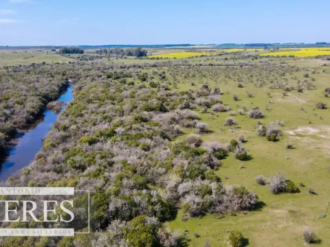 Campo de 180ha en Paysandú Agrícola Ganadero