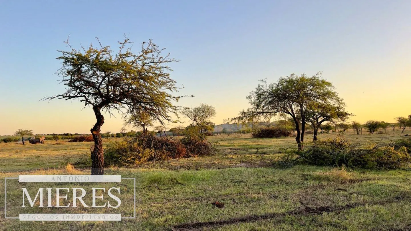 Campo de 180ha en Paysandú Agrícola Ganadero — foto 3