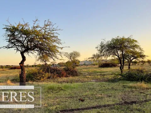 Campo de 180ha en Paysandú Agrícola Ganadero — foto 3
