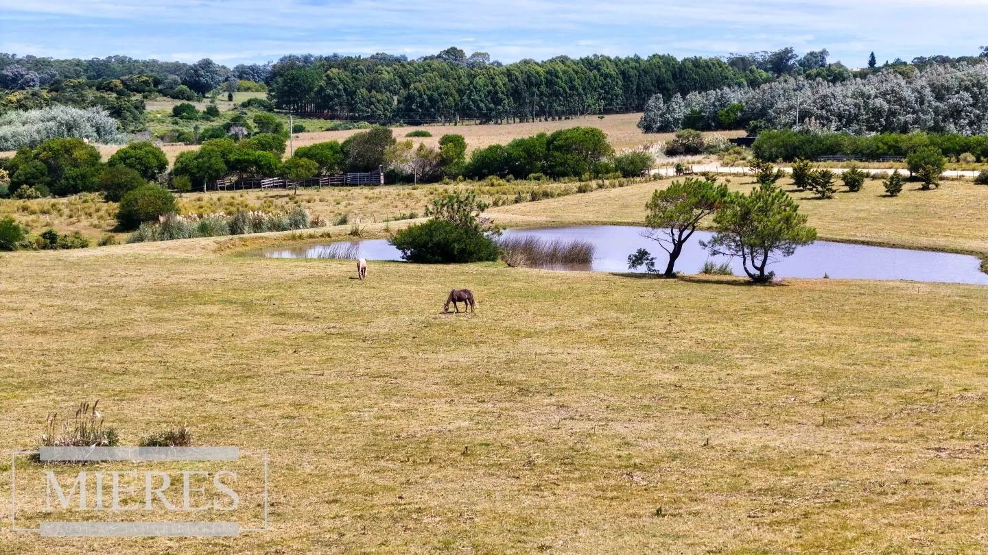 CHACRA EN VENTA, 10 HAS EN JOSE IGNACIO VISTA MAR — foto 12