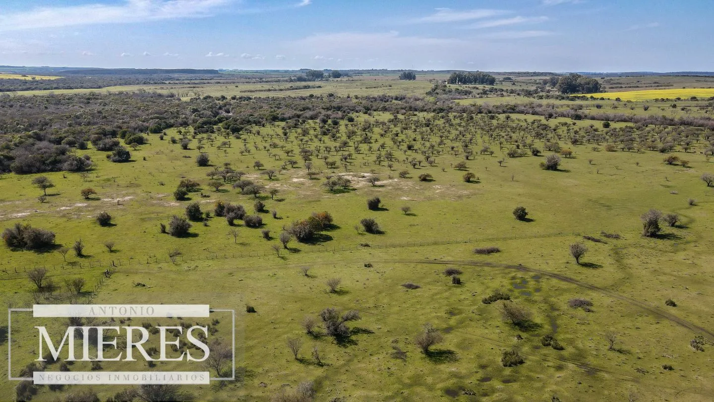 Campo de 180ha en Paysandú Agrícola Ganadero — foto 5