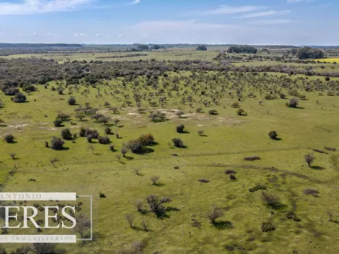 Campo de 180ha en Paysandú Agrícola Ganadero — foto 5
