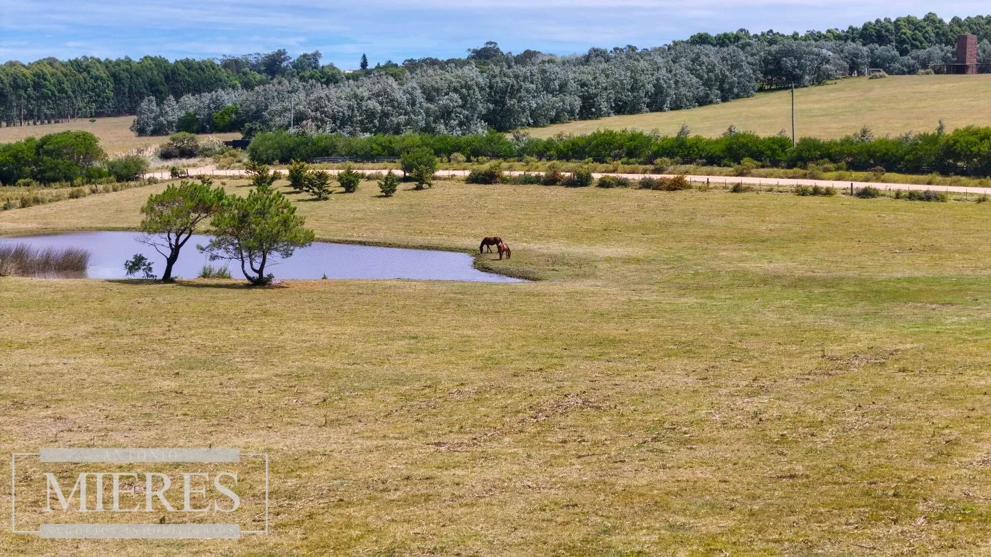 CHACRA EN VENTA, 10 HAS EN JOSE IGNACIO VISTA MAR — foto 13