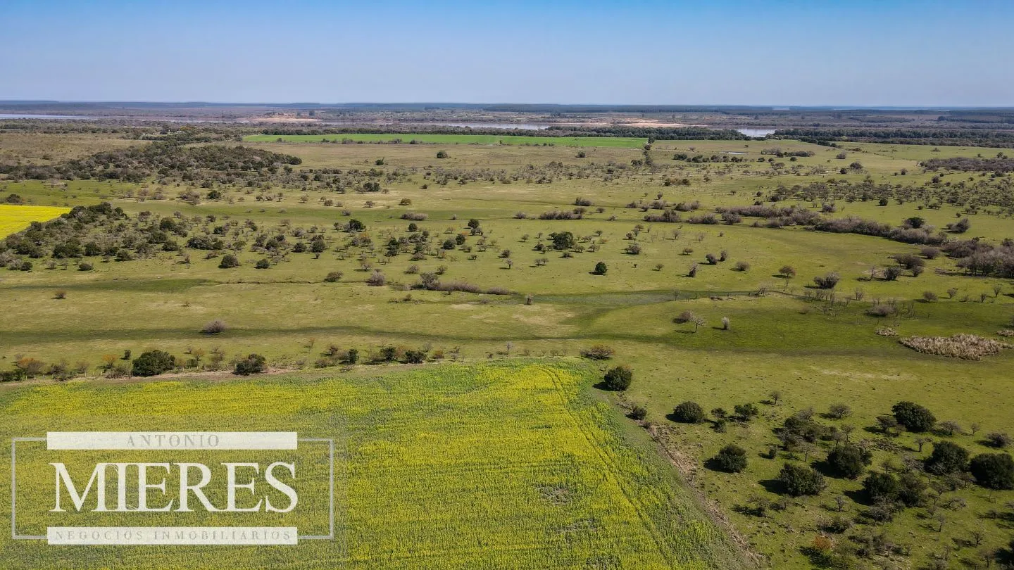 Campo de 180ha en Paysandú Agrícola Ganadero — foto 7