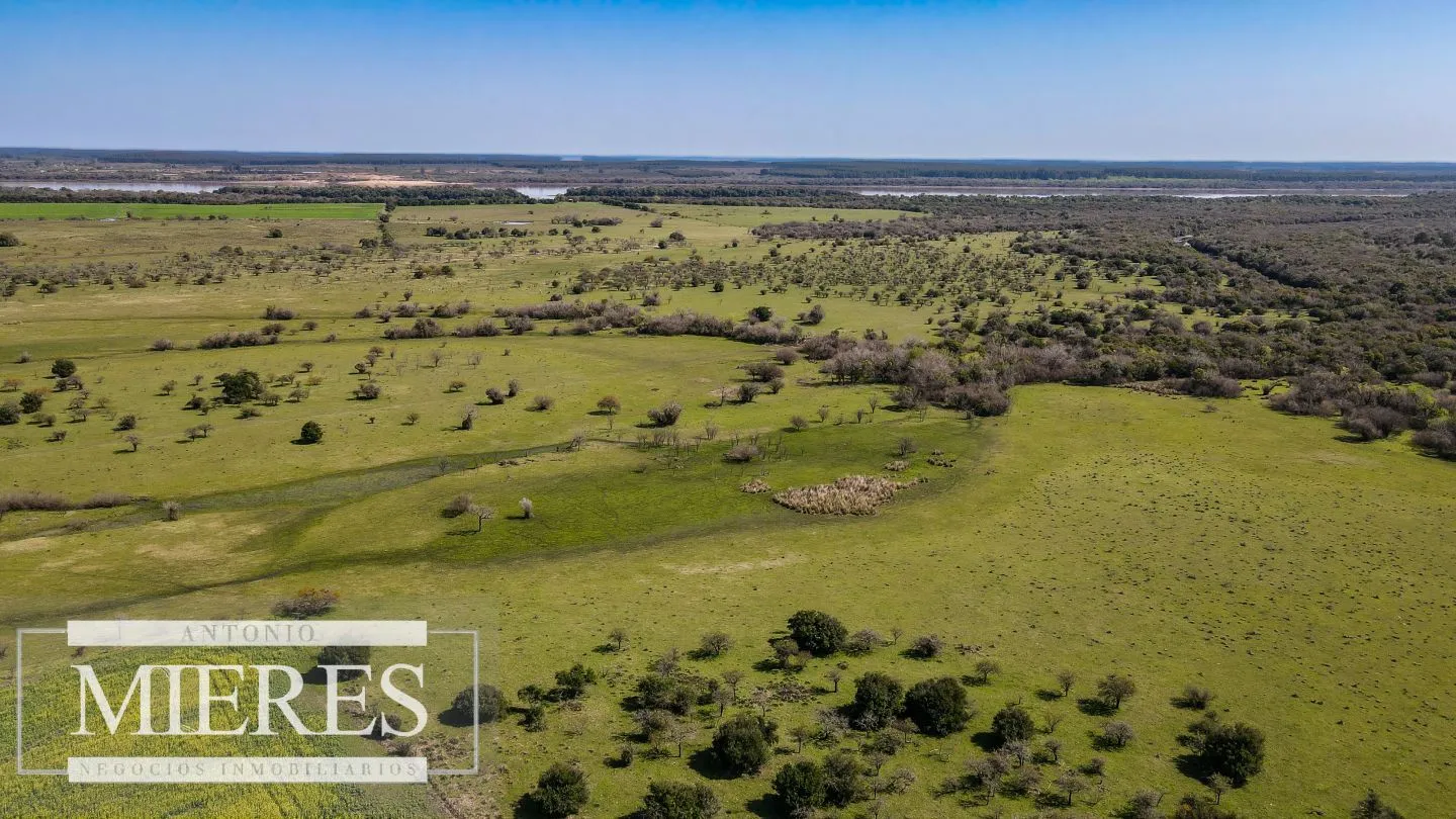 Campo de 180ha en Paysandú Agrícola Ganadero — foto 8