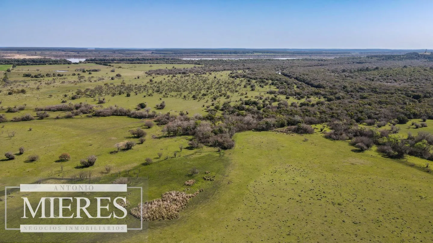 Campo de 180ha en Paysandú Agrícola Ganadero — foto 9