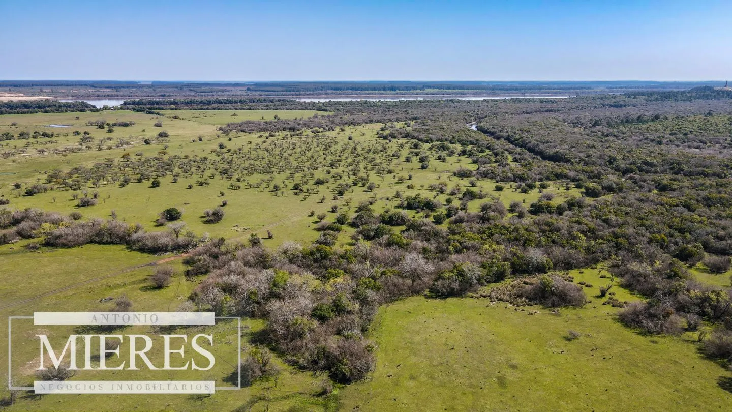 Campo de 180ha en Paysandú Agrícola Ganadero — foto 10