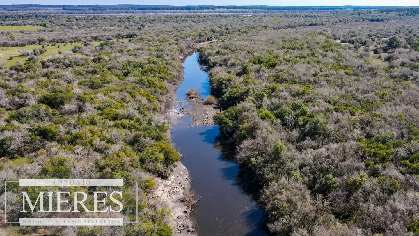 Campo de 180ha en Paysandú Agrícola Ganadero — foto 11