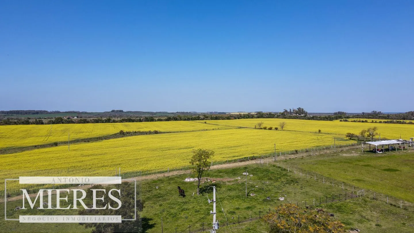 Campo de 180ha en Paysandú Agrícola Ganadero — foto 12