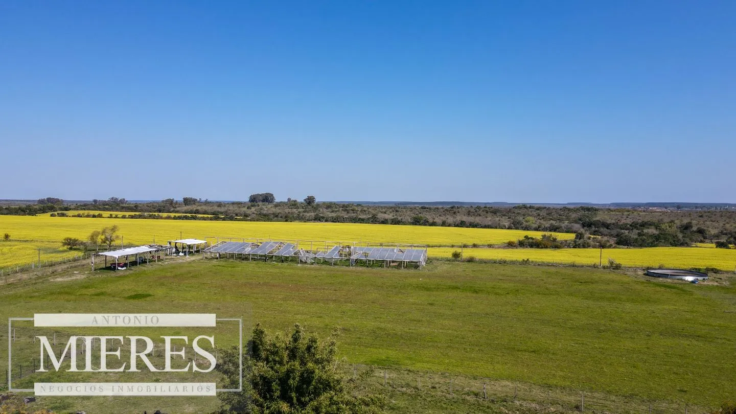 Campo de 180ha en Paysandú Agrícola Ganadero — foto 13