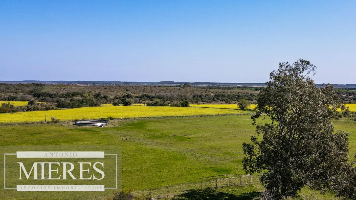 Campo de 180ha en Paysandú Agrícola Ganadero — foto 14