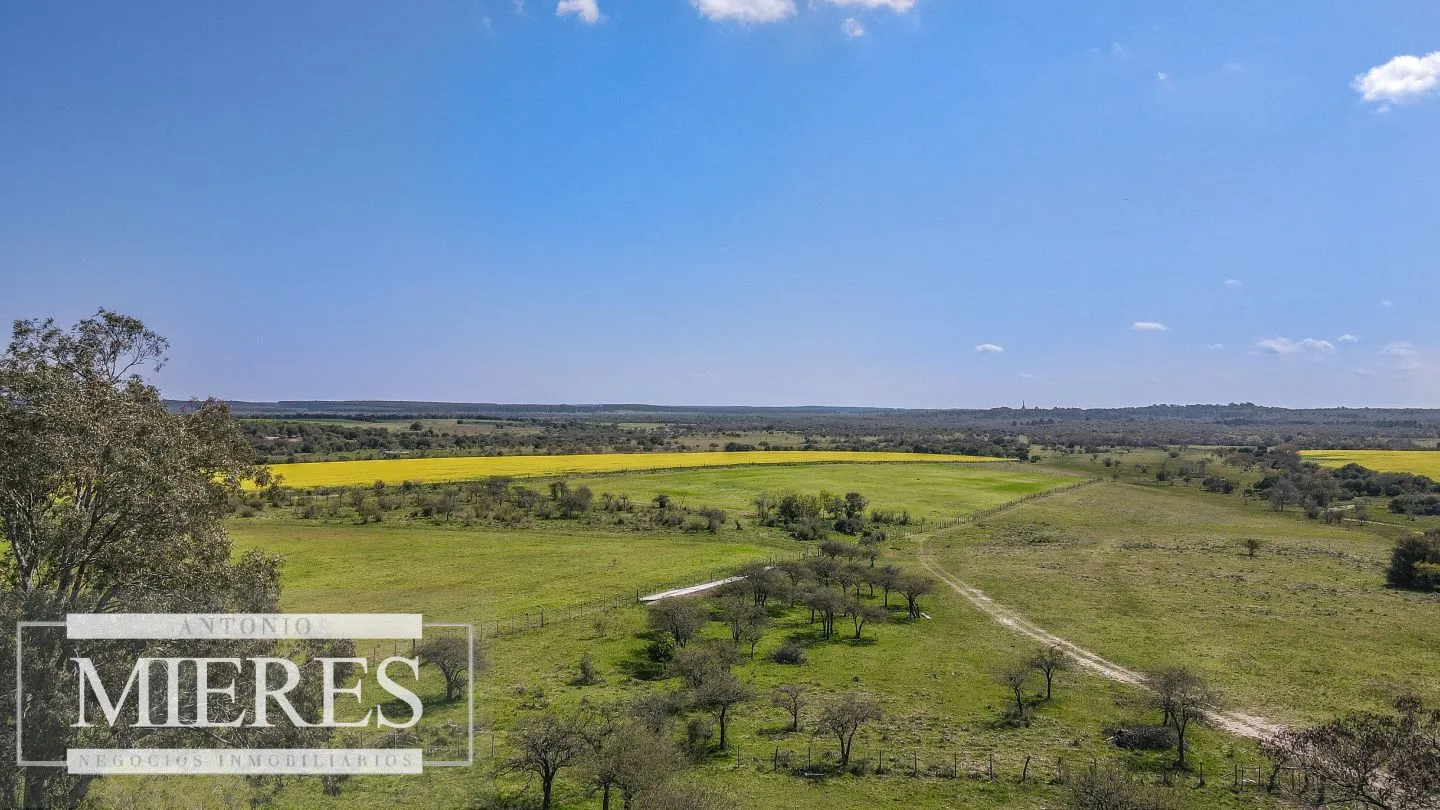 Campo de 180ha en Paysandú Agrícola Ganadero — foto 15