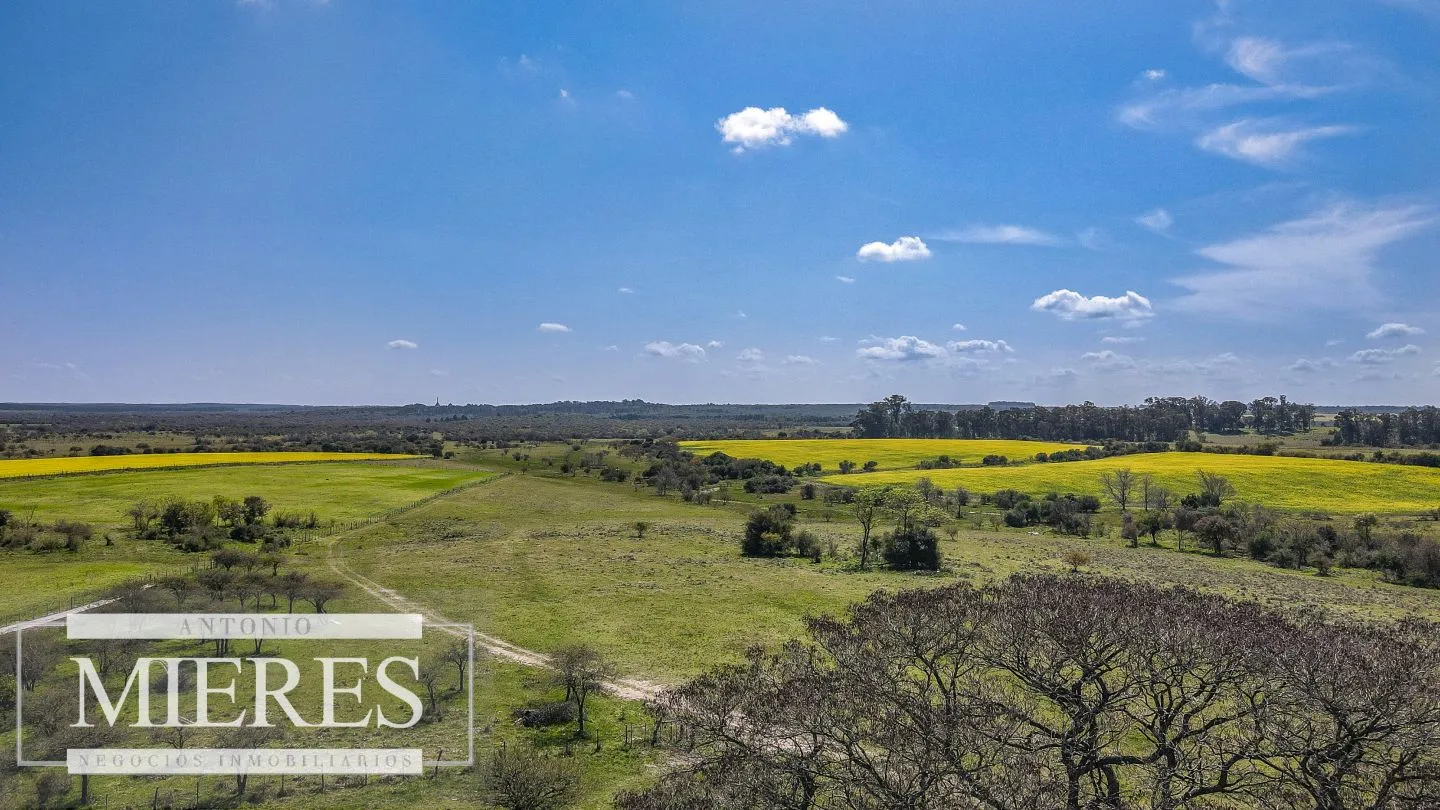 Campo de 180ha en Paysandú Agrícola Ganadero — foto 16