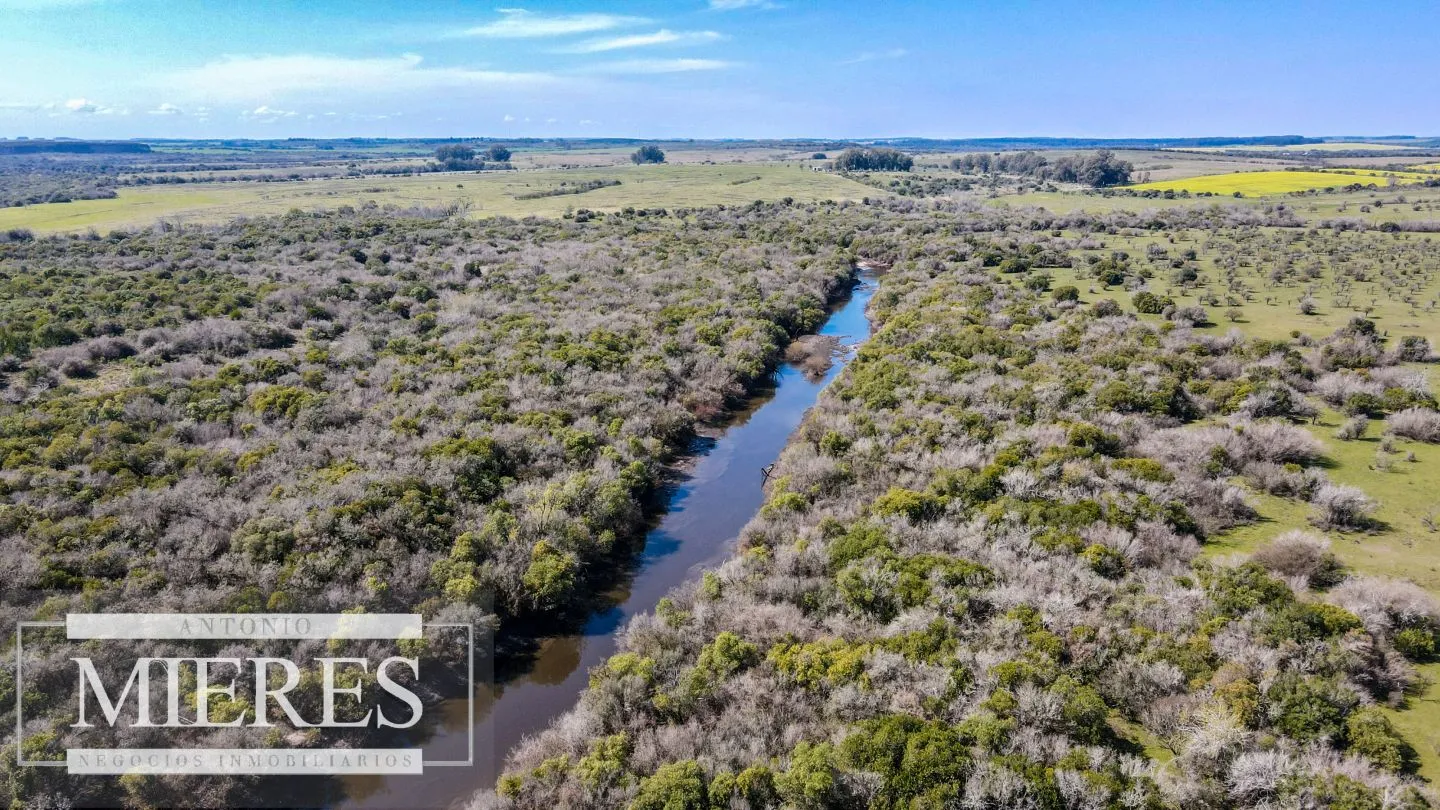 Campo de 180ha en Paysandú Agrícola Ganadero — foto 17