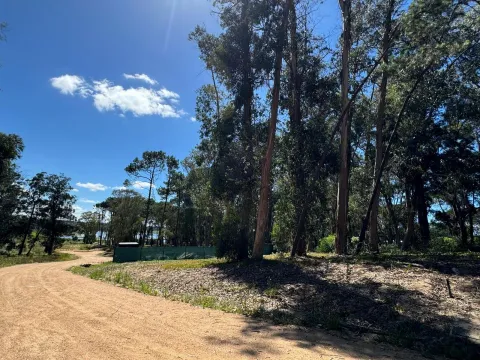 MAGNIFICO LOTE 1000 M2 BARRIO CERRADO LA RESERVA DE MONTOYA