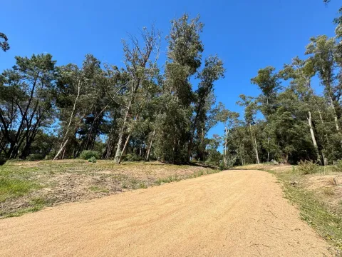 MAGNIFICO LOTE 1000 M2 BARRIO CERRADO LA RESERVA DE MONTOYA — foto 2