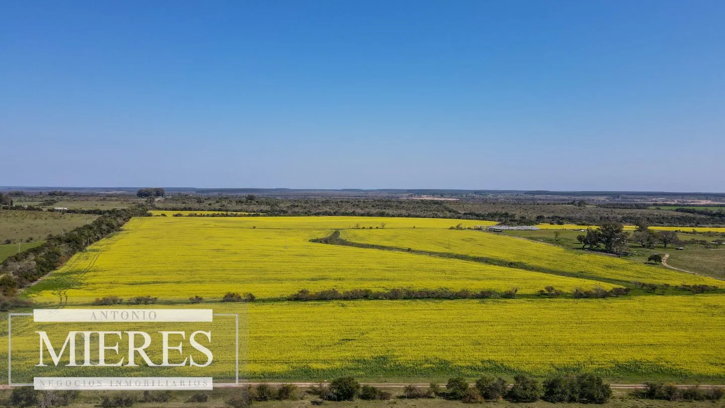 Campo de 180ha en Paysandú Agrícola Ganadero — foto 19